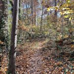 Joseph Bryan Park 21