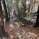 Joseph Bryan Park 26