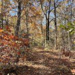 Joseph Bryan Park 3