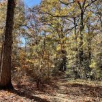 Joseph Bryan Park 4