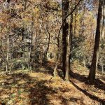 Joseph Bryan Park 8