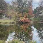 Lake in Hanover, Virginia