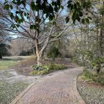 Walking Trail at Lewis Ginter Botanical Garden