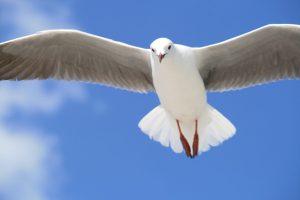 Are You Filled with the Holy Spirit?