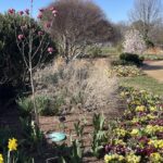 Lewis Ginter Botanical Garden 10