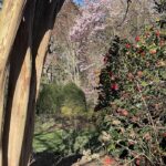Lewis Ginter Botanical Garden 13