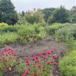 Lewis Ginter Botanical Garden 4