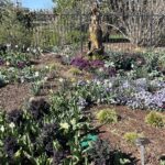 Lewis Ginter Botanical Garden 8