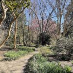Path at Lewis Ginter Botanical Garden