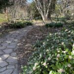 Path at Lewis Ginter Botanical Garden 4