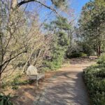 Path at Lewis Ginter Botanical Garden 5