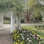 Grace E. Arents Garden at Lewis Ginter Botanical Garden 10