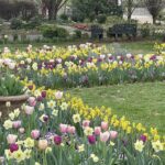 Grace E. Arents Garden at Lewis Ginter Botanical Garden 4