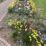 Grace E. Arents Garden at Lewis Ginter Botanical Garden 5