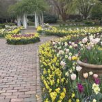 Grace E. Arents Garden at Lewis Ginter Botanical Garden 6