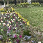 Grace E. Arents Garden at Lewis Ginter Botanical Garden 7