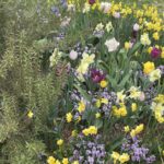 Grace E. Arents Garden at Lewis Ginter Botanical Garden 8