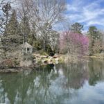 Lake at Lewis Ginter Botanical Garden
