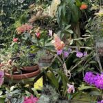 Lewis Ginter Botanical Garden 17