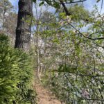 Lewis Ginter Botanical Garden 19