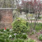 Lewis Ginter Botanical Garden 22