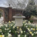 Lewis Ginter Botanical Garden 23