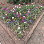 Lewis Ginter Botanical Garden 24