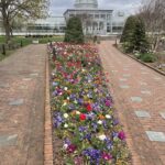 Lewis Ginter Botanical Garden 25