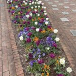 Lewis Ginter Botanical Garden 27