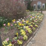 Lewis Ginter Botanical Garden 29