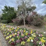 Lewis Ginter Botanical Garden 30