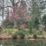 Lewis Ginter Botanical Garden 33