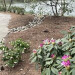 Lewis Ginter Botanical Garden 35