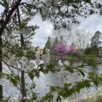 Lewis Ginter Botanical Garden 36