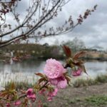 Lewis Ginter Botanical Garden 38