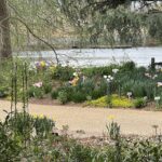 Lewis Ginter Botanical Garden 43