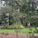 Lewis Ginter Botanical Garden 51