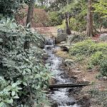 Lewis Ginter Botanical Garden 54