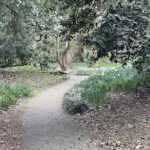 Path at Lewis Ginter Botanical Garden 10