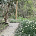 Path at Lewis Ginter Botanical Garden 11