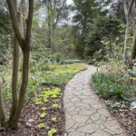 Path at Lewis Ginter Botanical Garden 12