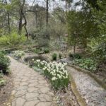 Path at Lewis Ginter Botanical Garden 13