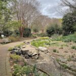 Path at Lewis Ginter Botanical Garden 14