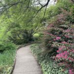 Path at Lewis Ginter Botanical Garden 18